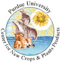 new crop Logo