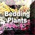 Link to Bedding Plants Profile