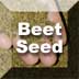 Link to Beet Seed Profile