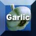 Link to Garlic Profile