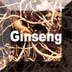 Link to Ginseng Profile