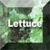 Link to Lettuce Profile