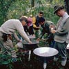 Terry Erwin explains the importance of collections in directing research, talks about ground beetle research in tropical treetops, and discusses the impact of an oil company flare on rainforest insects.