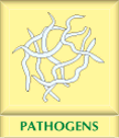 Pathogens