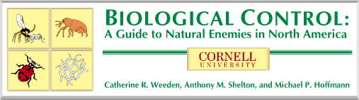 Cornell University, Biological Control: A Guide to Natural Enemies in North America
