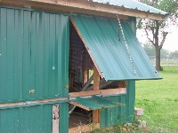 poultry house window