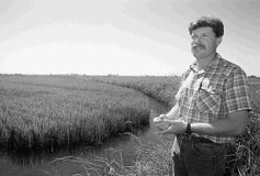 Ed Sills in field of grain