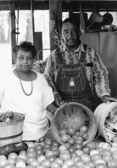 Alvin and Shirley Harris