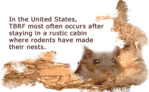 In the United States , Relapsing Fever most often occurs after staying in a rustic cabin where rodents have made their nests.