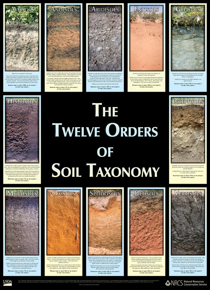 Twelve Orders of Soil Taxonomy poster
