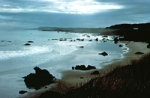 California Coast. Photo FWS.