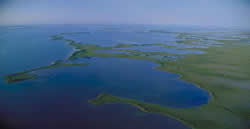 View of Florida Bay