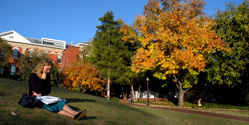 A student enjoys a fall day in the Court of the Carolinas.