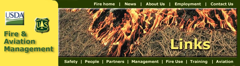 Links header - Photo of burning pine needles.