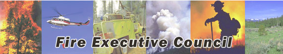 Fire Executive Council