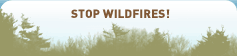 Stop Wildfires!