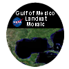 Link to Gulf of Mexico Landsat Mosaic Data