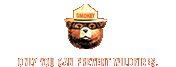 Only you can prevent wildfires.