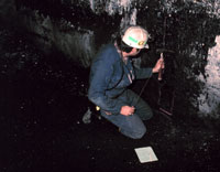 Photo:  Field Geologist collecting coal samples.
