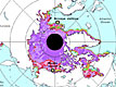 Arctic Sea Ice Satellite Observations