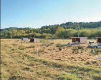 Colony system with a central nesting house and small roosting houses.