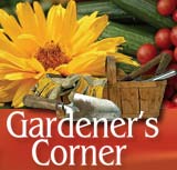 Gardener's Corner