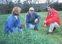 Intensive grazing rotations at a farm in Georgia.