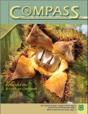 Compass issue 10