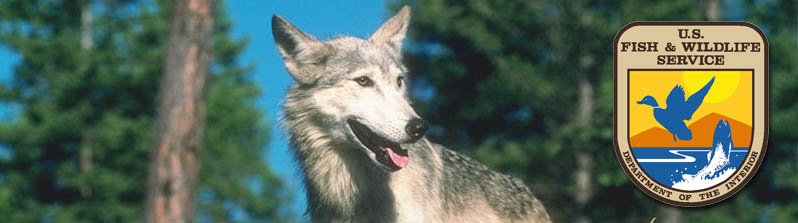 banner- wolf photo with FWS logo