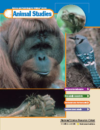 Animal Studies STC Book