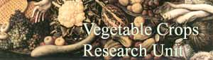Vegetable Crops Research Unit Site Logo
