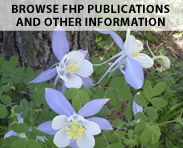 Columbine Flowers. Browse Our Publications and Other Information