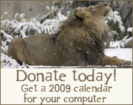 Donate today!
Get a 2009 calendar
for your computer