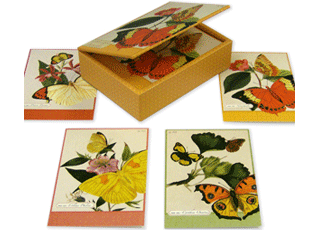 Nature's Cabinet Butterflies Note Cards and Keep It Box