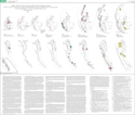 (Thumbnail) Correlation of the Klamath Mountains and Sierra Nevada