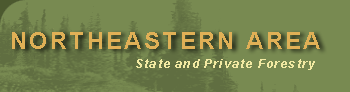Northeastern Area State and Private Forestry Header Art