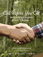 Call Before You Cut Poster