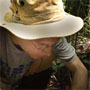 Los cocteles del molibdeno estimulan la fijación de nitrógeno en bosques tropicales