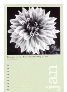 Flower Portraits Perpetual Calendar