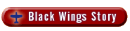 Link: Black Wings Story