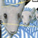 Part of Maus cover image