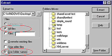 WinZip image: Select the All files and Use folder names options.