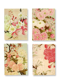 Cherry Blossoms Note Card Portfolio