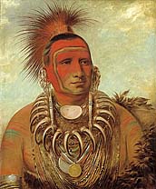 Image for George Catlin's Indian Gallery
