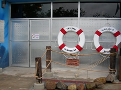 STRI - Punta Culebra - New Exhibit : Discovery Room