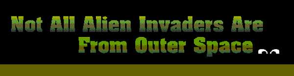This is the title strip "Not All Alien Invaders Are From Outer Space" with a pair of open eyes at the end of the title.