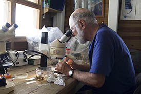 researcher Bob Sims at work in Belize