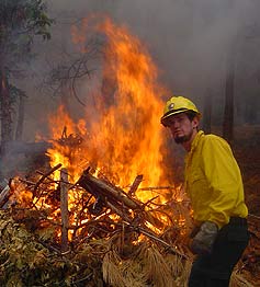 image of man in haard hat feeding a large fire