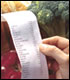 A grocery receipt for purchased fruits and vegetables.