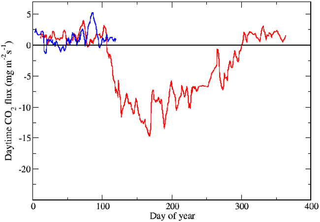 Daytime CO2 Flux